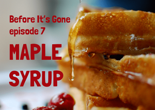 MapleSyrupForWebSite